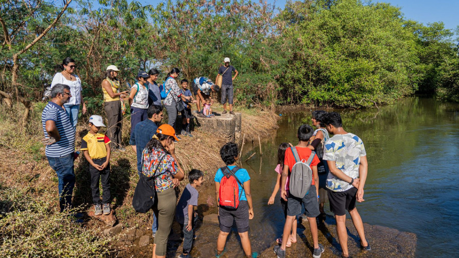 Eco Walks