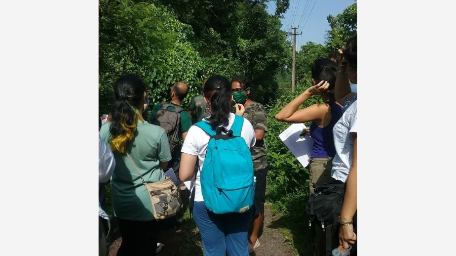 Plant Walk