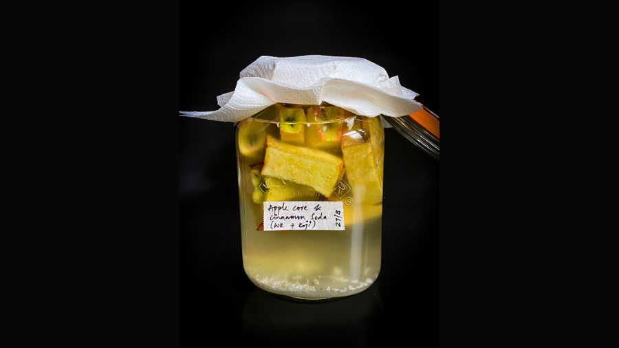 Ferments of India
